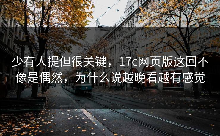 少有人提但很关键,17c网页版这回不像是偶然,为什么说越晚看越有感觉
