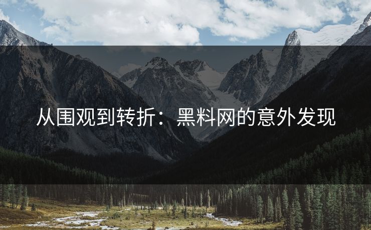 从围观到转折：黑料网的意外发现