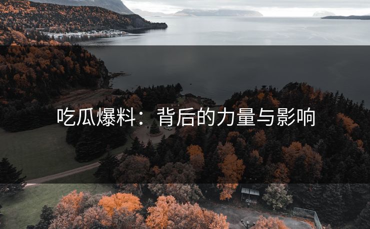 吃瓜爆料:背后的力量与影响