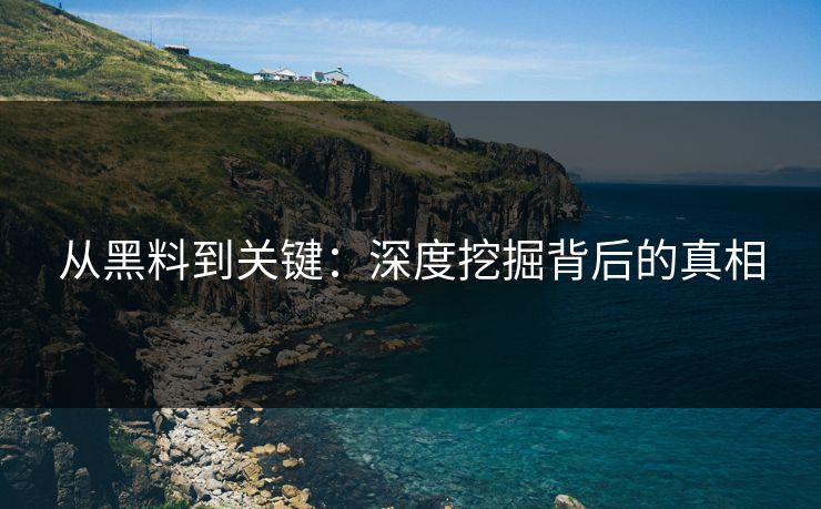 从黑料到关键：深度挖掘背后的真相