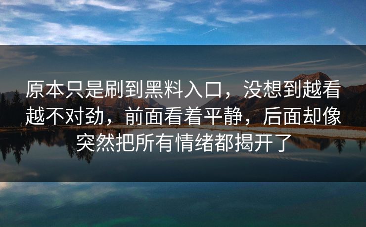 原本只是刷到黑料入口，没想到越看越不对劲，前面看着平静，后面却像突然把所有情绪都揭开了