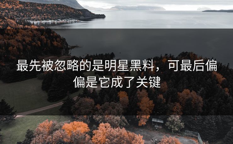 最先被忽略的是明星黑料,可最后偏偏是它成了关键 最先被忽略的是明星黑料,可最后偏偏是它成了关键