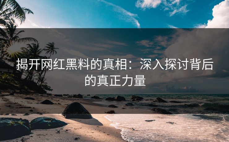 揭开网红黑料的真相：深入探讨背后的真正力量