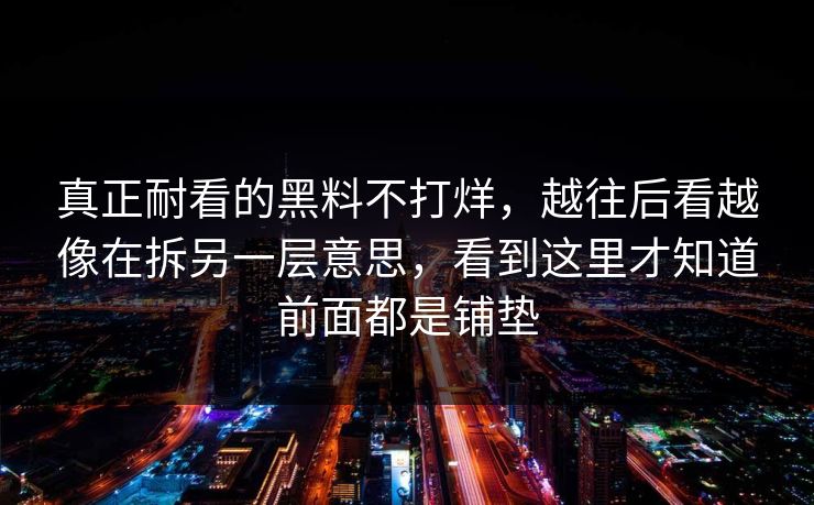 真正耐看的黑料不打烊，越往后看越像在拆另一层意思，看到这里才知道前面都是铺垫