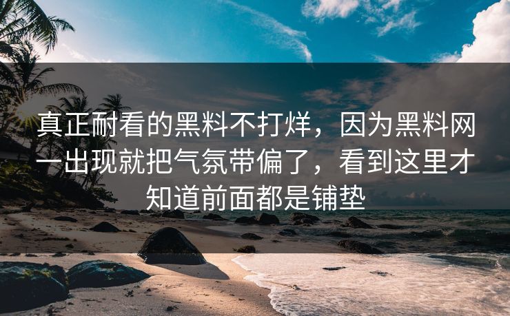 真正耐看的黑料不打烊，因为黑料网一出现就把气氛带偏了，看到这里才知道前面都是铺垫
