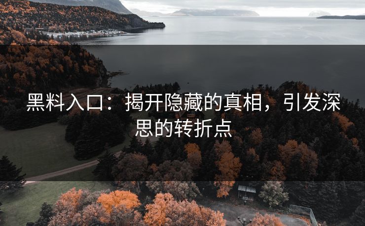 黑料入口:揭开隐藏的真相,引发深思的转折点