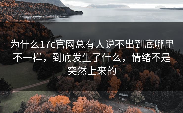 为什么17c官网总有人说不出到底哪里不一样，到底发生了什么，情绪不是突然上来的