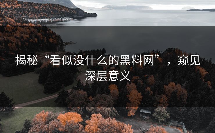 揭秘“看似没什么的黑料网”,窥见深层意义