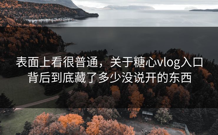 表面上看很普通,关于糖心vlog入口背后到底藏了多少没说开的东西